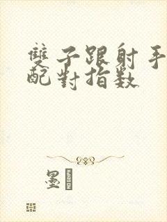 双子跟射手星座配对指数