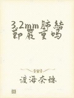 3.2mm肺结节严重吗