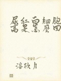 尿红白细胞计数高是怎么回事