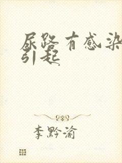 尿路有感染什么引起