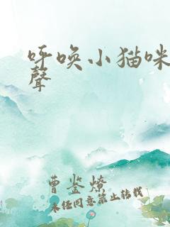 呼唤小猫咪的叫声