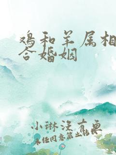 鸡和羊属相合不合婚姻