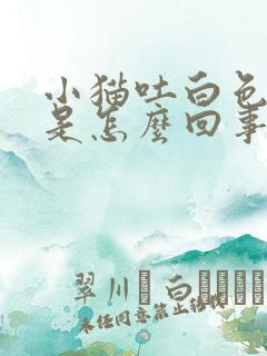 小猫吐白色液体是怎么回事