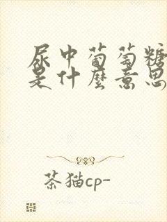 尿中葡萄糖4+是什么意思