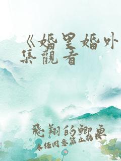 《婚里婚外》全集观看