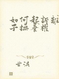 如何起诉离婚孩子抚养权