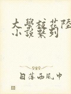 大学校花陆冰嫣小说系列