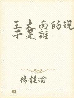 王大南的现任妻子是谁