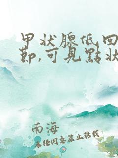 甲状腺低回声结节,可见点状强回声