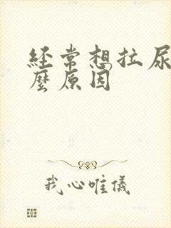 经常想拉尿是什么原因