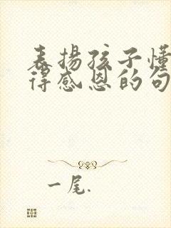 表扬孩子懂事懂得感恩的句子