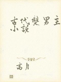 古代双男主高h小说