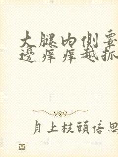 大腿内侧睾丸旁边痒痒越抓越痒