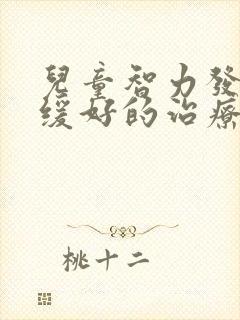 儿童智力发育迟缓好的治疗办法