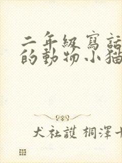 二年级写话有趣的动物小猫