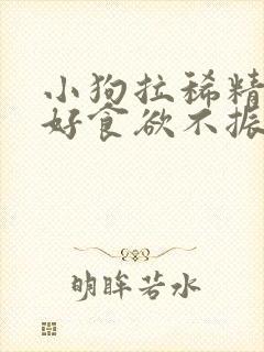 小狗拉稀精神不好食欲不振