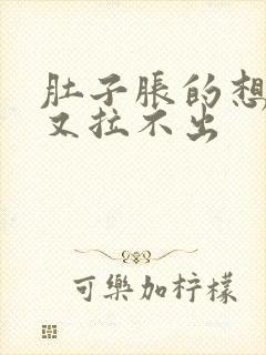 肚子胀的想拉屎又拉不出