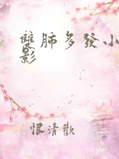 双肺多发小结节影