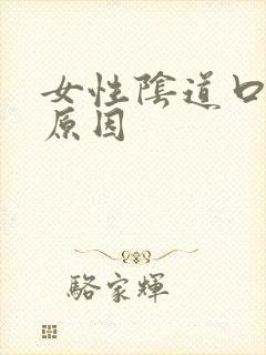 女性阴道口肿的原因