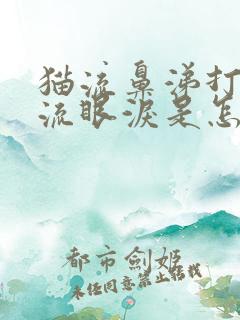 猫流鼻涕打喷嚏流眼泪是怎么回事