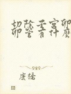 切除子宫卵巢输卵管有什么影响