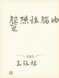 腔隙性脑内梗塞灶