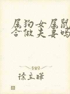 属狗女属鼠男适合做夫妻吗