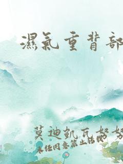 湿气重背部长痘