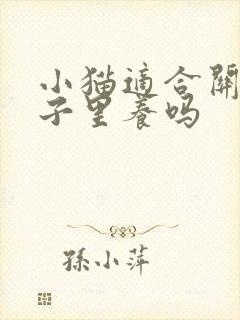 小猫适合关在笼子里养吗