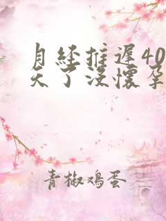 月经推迟40多天了没怀孕是怎么回事