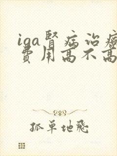 iga肾病治疗费用高不高