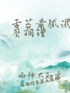 舌苔黄腻湿热怎么调理