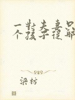 一对夫妻只生一个孩子从哪年开始