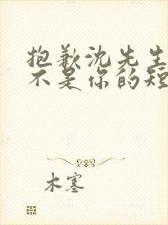 抱歉沈先生孩子不是你的短剧免费观看