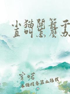 小猫关笼子里一直叫怎么办