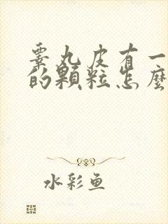 睾丸皮有一颗颗的颗粒怎么回事