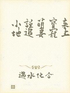 小说萌宝来袭爹地追妻宠上天