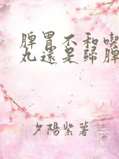 脾胃不和吃健脾丸还是归脾丸