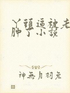 丫头逼被老爷操肿了小说