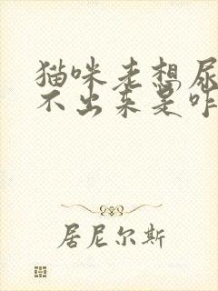 猫咪老想尿又尿不出来是咋回事了