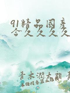 91精品国产综合久久久久久丝袜