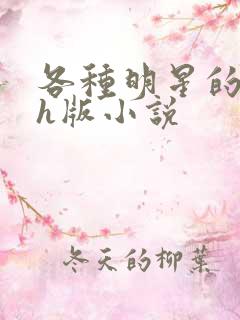 各种明星的综艺h版小说