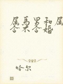 属马男和属猴女合不合婚