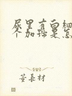 尿里有白细胞一个加号是怎么回事