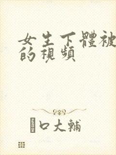 女生下体被插入的视频