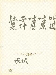 肚子咕咕叫腹泻是什么原因