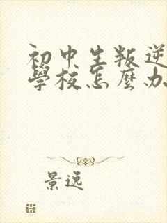 初中生叛逆不去学校怎么办