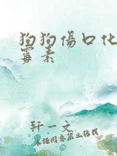 狗狗伤口化脓红霉素