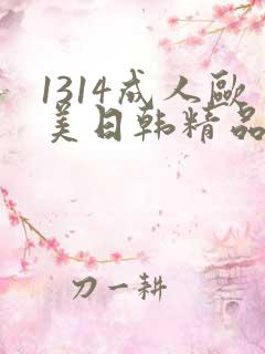 1314成人欧美日韩精品