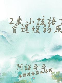 2岁小孩语言发育迟缓的原因